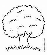 Simple Tree Roots Coloring Pages sketch template