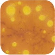 Amaco Crystaltex Glaze CTL39 Yellow Universe - Image 1 | Glaze, Color ...
