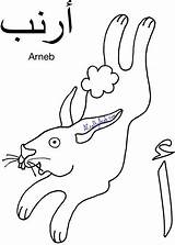 A Crafty Arab Arabic Coloring PageAlif Is For Arnab {Printable} I  sketch template