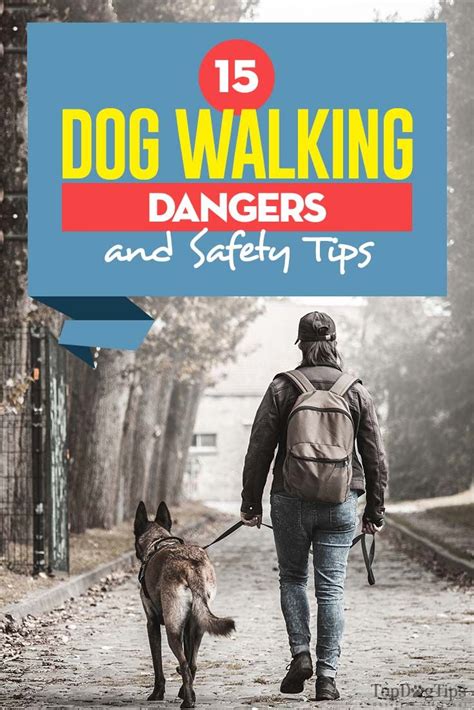 15 Dog Walking Dangers and Safety Tips | Dog walking business, Dog ...