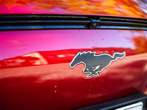 Ford Mustang Mach-E – Hyvästit muskelille | Nettiauto