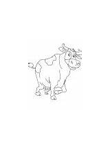 Milkman buffalo coloring Page  Download Free sketch template