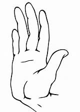 Mani Disegno Da Dita Colorare Tuttodisegni Colouring Pages Color Sketch  sketch template