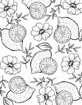 Lemon Coloring Page sketch template