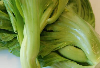 Spaghettofu: Chinese mustard greens soup