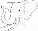 Free Printable Elephant Coloring Pages For Kids sketch template