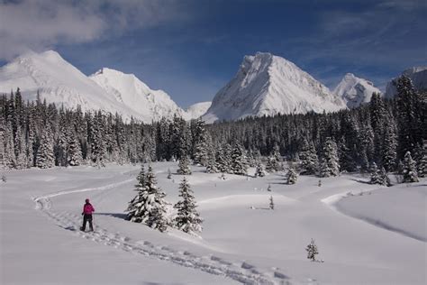 10 Winter Walks and Hikes to Enjoy with your Family in Kananaskis | LaptrinhX / News