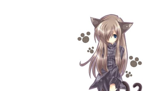 HD Anime Cat Background | PixelsTalk.Net