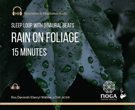 Rain on Foliage: 15-Minute Sleep Loop with Binaural Beats