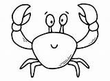 Crab Cartoon Drawing Coloring Cute Clipart Illustration Vector Draw  sketch template