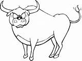 Ox Coloring Page At GetColoringscom  Free Printable Colorings Pages sketch template