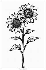 9 Dibujos De girasol Para Colorear PDF Y PNG Gratis sketch template