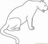 Panther Head Coloring Page Sketch sketch template