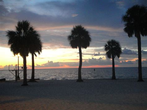 Pine Island, Florida | Pine island, Beach scenes, Beautiful places