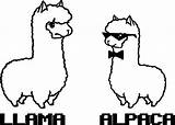 Llama And Alpaca Coloring Page  Wecoloringpage Animal coloring Pages sketch template
