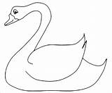 Swan Coloring Pages  ColoringBay sketch template