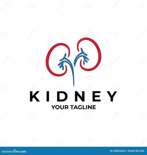 Kidney Logo Vector Design Template Stock Vector - Illustration of body, health: 244026068