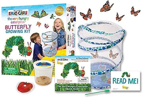 Amazon.co.uk: butterfly hatching kit