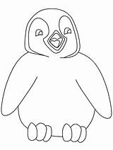 Adelie Penguin Coloring Page At GetColoringscom  Free Printable sketch template
