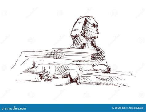 Sketch Of A Sphinx Cat, Isolated, On A White Background. Sphinx Cat ...