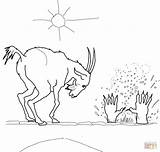 The Three Billy Goats Gruff Coloring Pages  Home sketch template