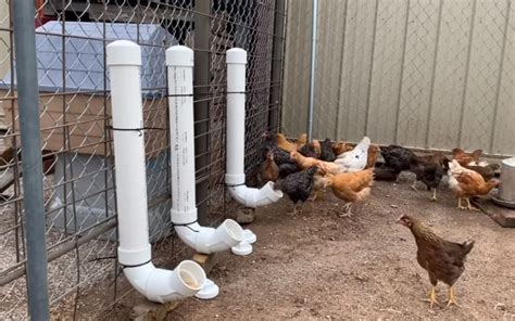 32 DIY PVC Chicken Feeder Ideas – DIY this Weekend