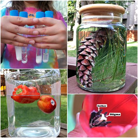 20 Outdoor Science Experiments | Backyard Science Activities