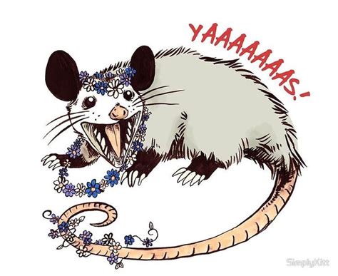 Pin by Taylor Kaitlin on Little Opossum Friends | Awesome possum, Cute art, Cute drawings