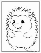 40 Hedgehog Coloring Pages Free Printable PDFs sketch template
