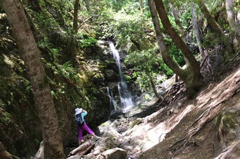 Uvas Canyon Waterfalls - South Bay Area's 6-Waterfall Refuge