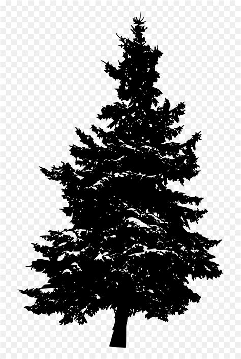 Pine Silhouette Fir Tree - Silhouette Of A Pine Tree, HD Png Download - vhv