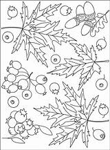 Nicoles Free Coloring Pages COLORING AUTUMN  PAGE Fall sketch template