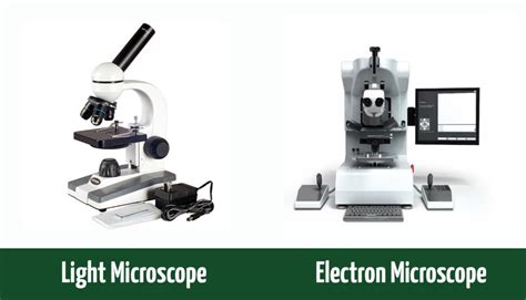 How Are Compound Light Microscopes And Transmission Electron Similar | Shelly Lighting