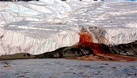 Post News: Antarctica's 'Blood-falls': Scientists finally decode more ...