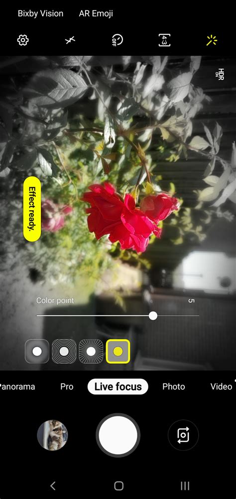 Samsung Galaxy S10 Camera Guide: How to Take Amazing Photos | Digital Trends