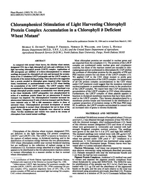 (PDF) Chloramphenicol Stimulation of Light Harvesting Chlorophyll Protein Complex Accumulation ...