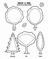 Free Coloring Pictures Of Trees Download  sketch template