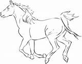 Horse Herd Coloring Pages At GetColoringscom  Free Printable sketch template