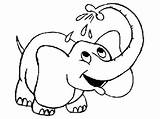 Free Printable Elephant Coloring Pages For Kids sketch template