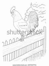 Rail Fence Coloring Pages sketch template