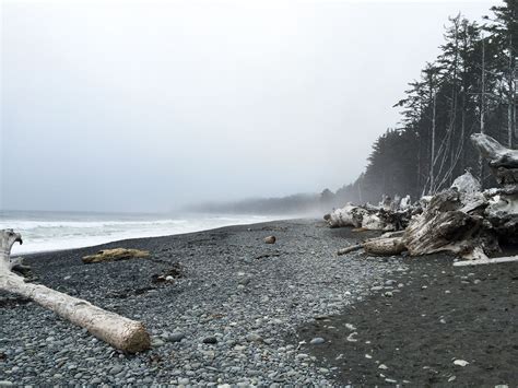 Rialto Beach at Olympic National Park – Catlories