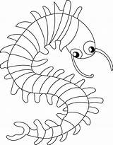 Centipede Coloring Pages Free sketch template