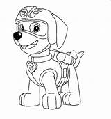Free Zuma coloring Page  Download Print Or Color Online For sketch template