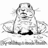 Prairie Dog Coloring Pages  Free & Printable sketch template