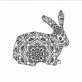 Normal Rabbit Mandala coloring page  Download Print Or Color Online sketch template