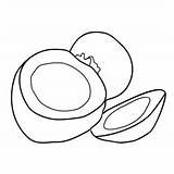 Coconut 1 Coloring Pages For Kids  Download Printable sketch template