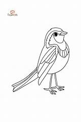 Disegno Da Colorare Fringuello uccello ♥ Online O Stampare Gratis sketch template