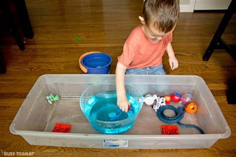 Sink or Float: Toddler Science Experiment - Busy Toddler