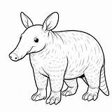Aardvark Coloring Pages 3  Coloring Gem sketch template