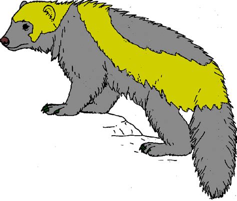 wolverine animal clipart 20 free Cliparts | Download images on ...